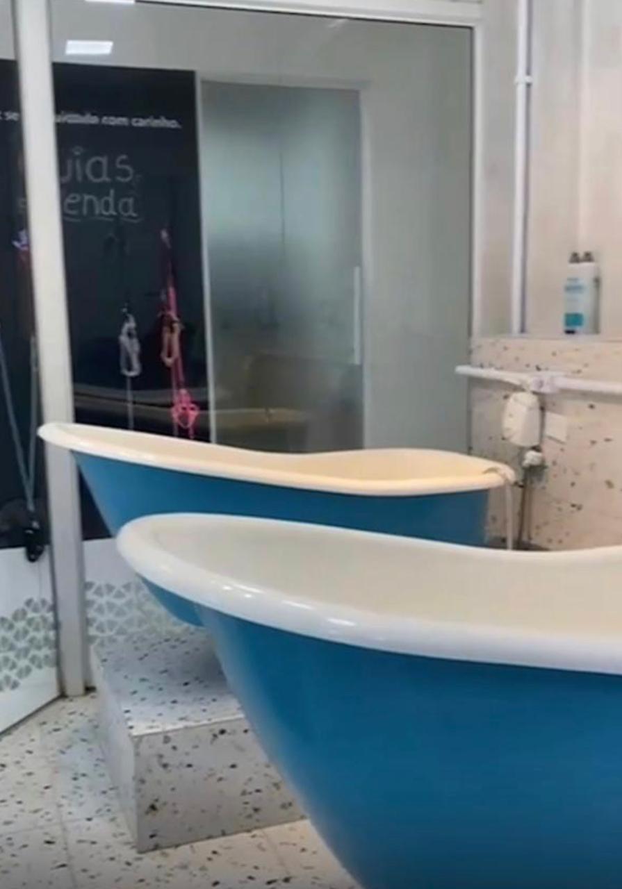 PET SHOP SAO JOSE DOS PINHAIS