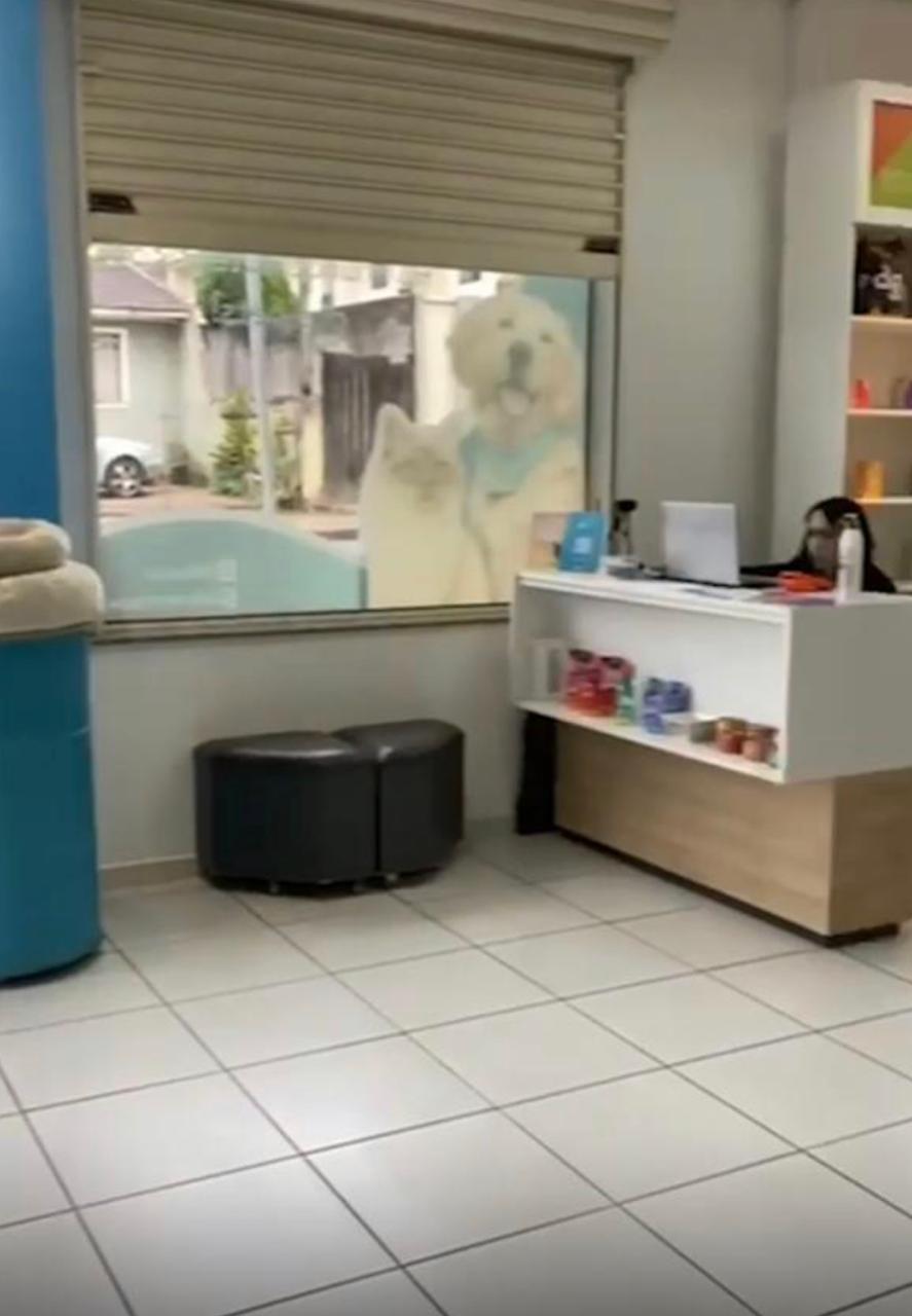 PET SHOP SAO JOSE DOS PINHAIS